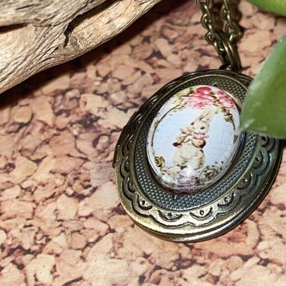 BUNNY RABBIT Locket Necklace JEWELRY Pendant PHOTO bronze Pink Photo Rose GIFT - Picture 1 of 10